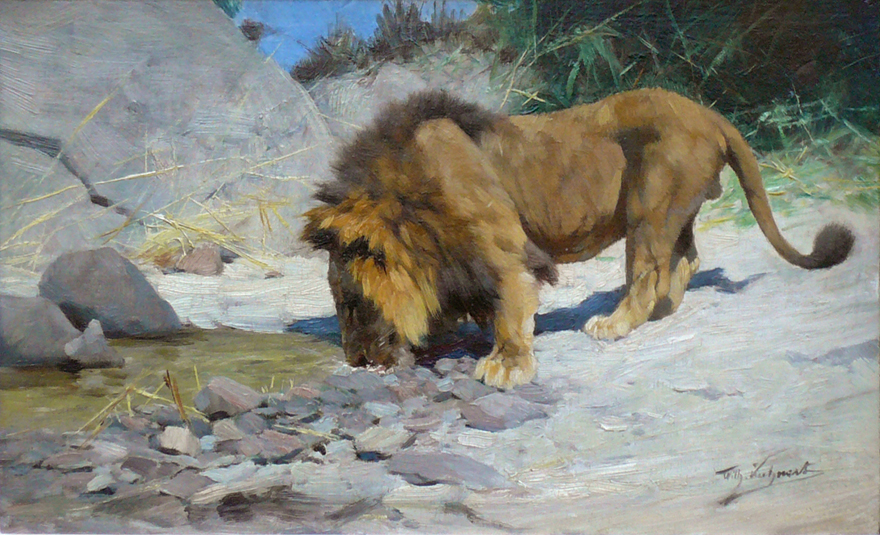 "Lion at the watering place“Oil on wood, 19 x 32 cmsigned